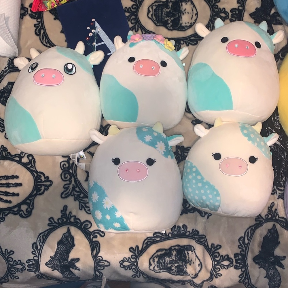 Belana the cow squishmallow bundle of 5 different cow squishmallows